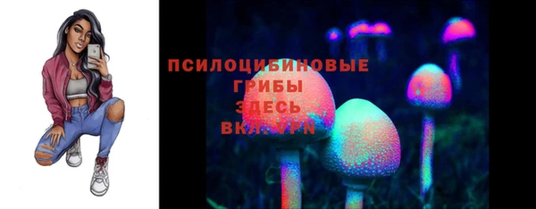 мяу мяу мука Карпинск